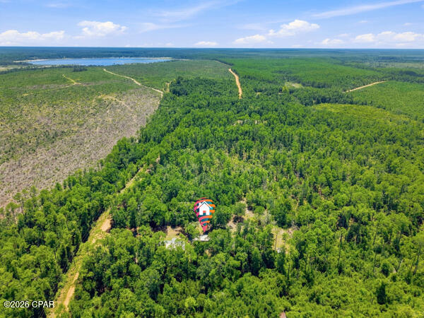 4586 Porter Pond Road Chipley, FL 32428 - Photo 30 of 34 Gallery Image 30