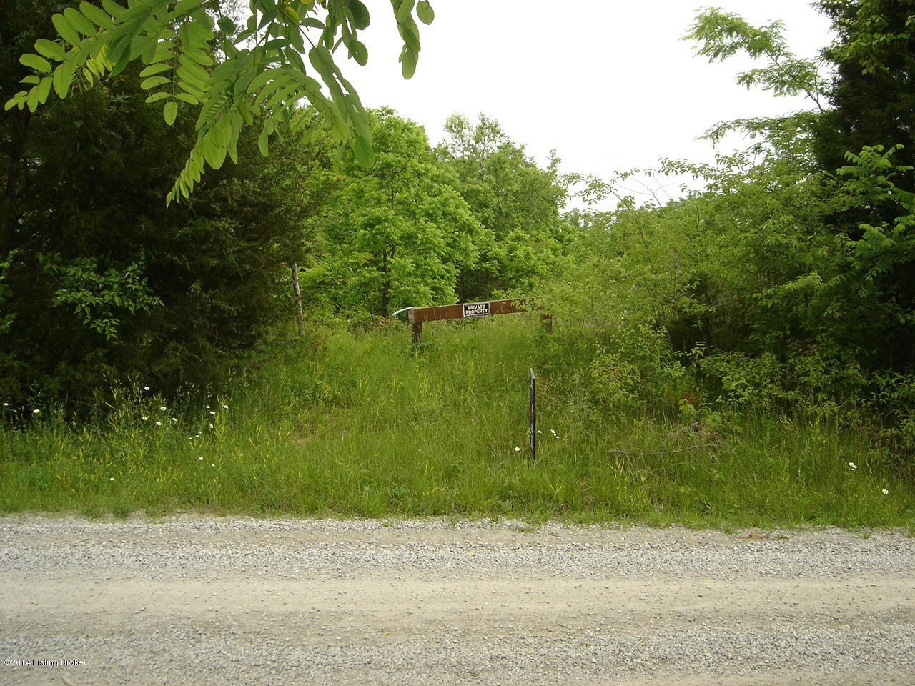 0 Valleyview Drive Pendleton, KY 40055 - Photo 1 of 7 DSC06277