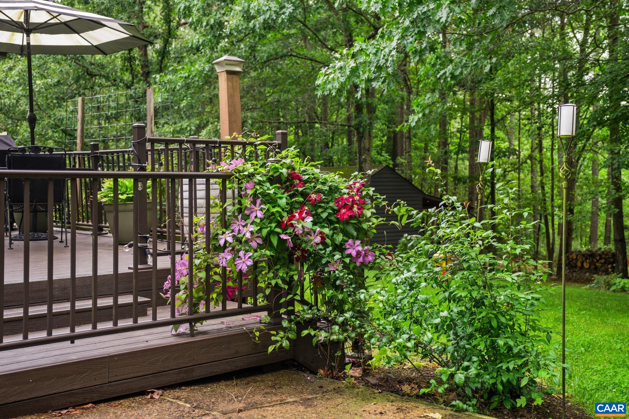 3309 Martin Kings Road Charlottesville, VA 22902 - Photo 45 of 58