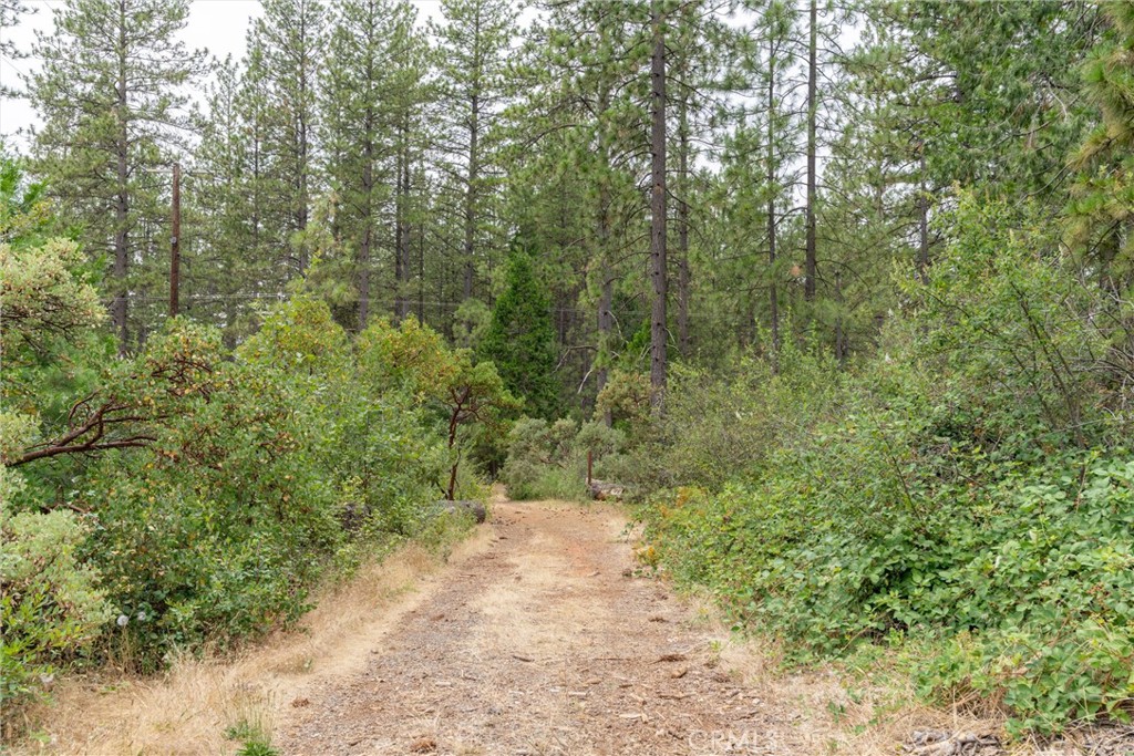 15184 Siwini Road Forest Ranch, CA 95942 - Photo 58 of 75
