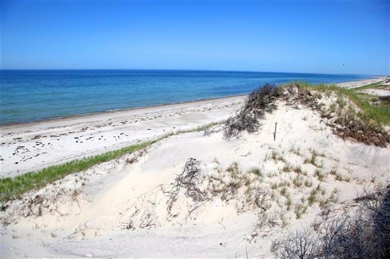 109 Point Hill Road West Barnstable, MA 02668 - Photo 8 of 8 SANDY NECK