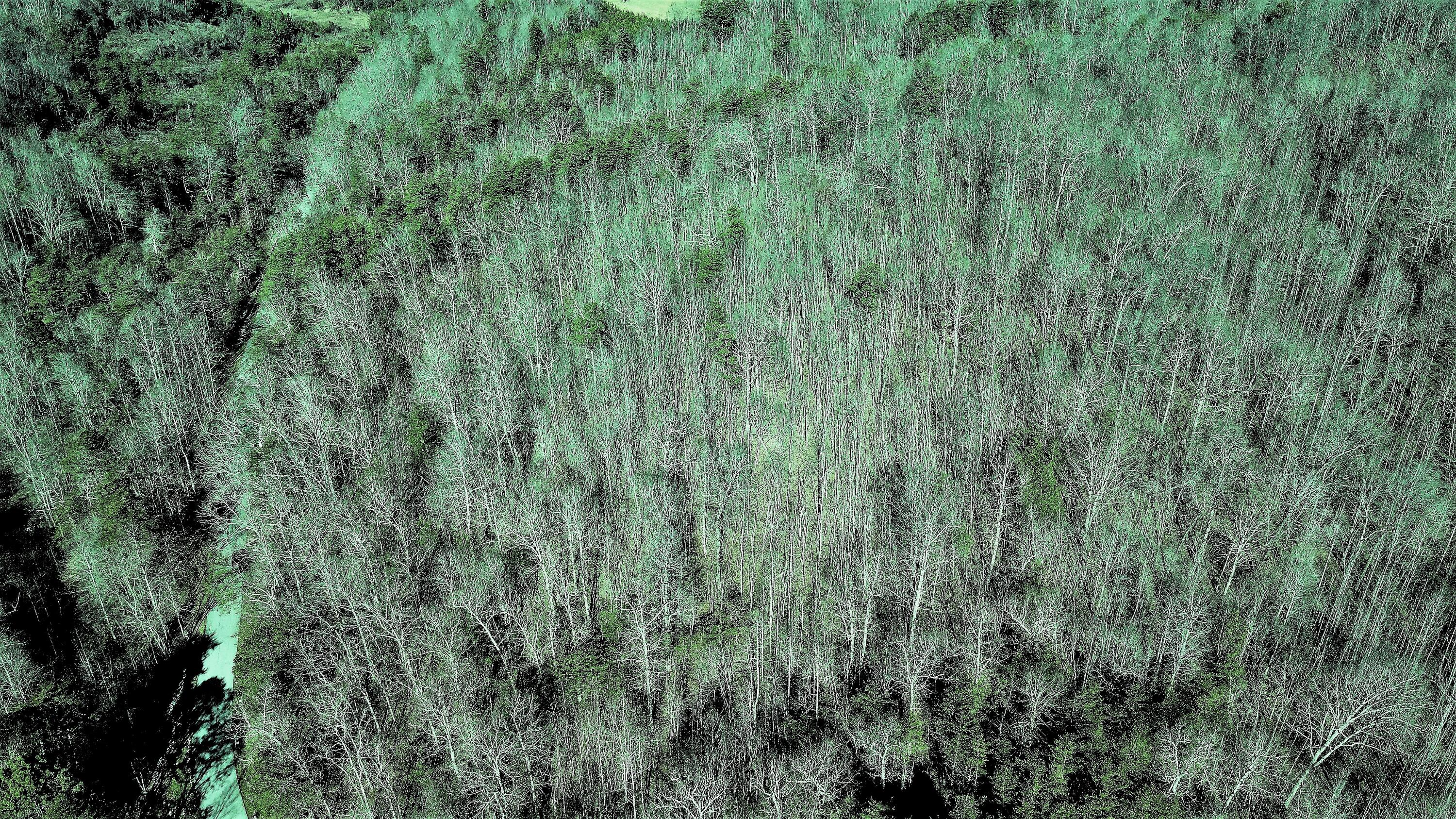 999 Slate Lick Road London, KY 40741 - Photo 5 of 14 DJI_0421