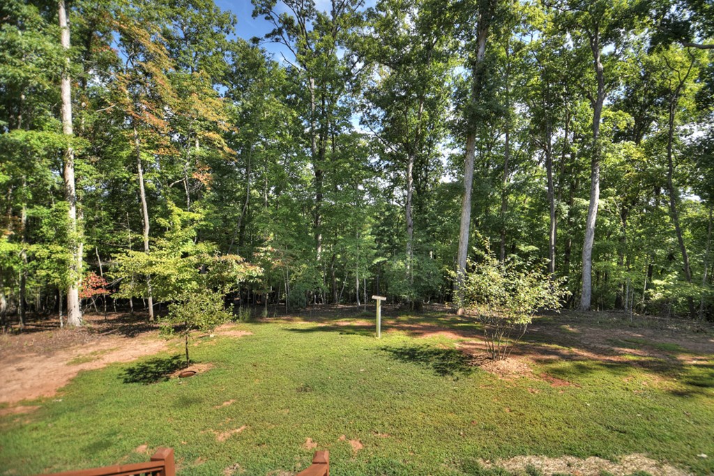 1428 Power Dam Road Blue Ridge, GA 30513 - Photo 47 of 52