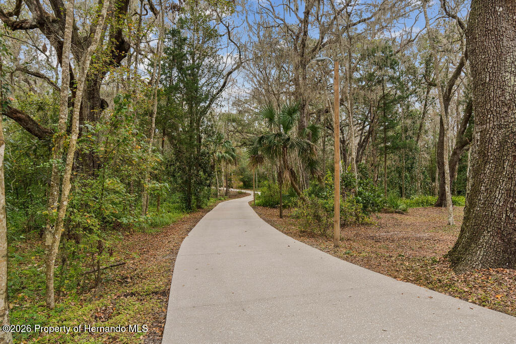 26262 Lake Lindsey Road Brooksville, FL 34601 - Photo 4 of 53 41570_695c7d27bc22d_01.06.2026_image-4