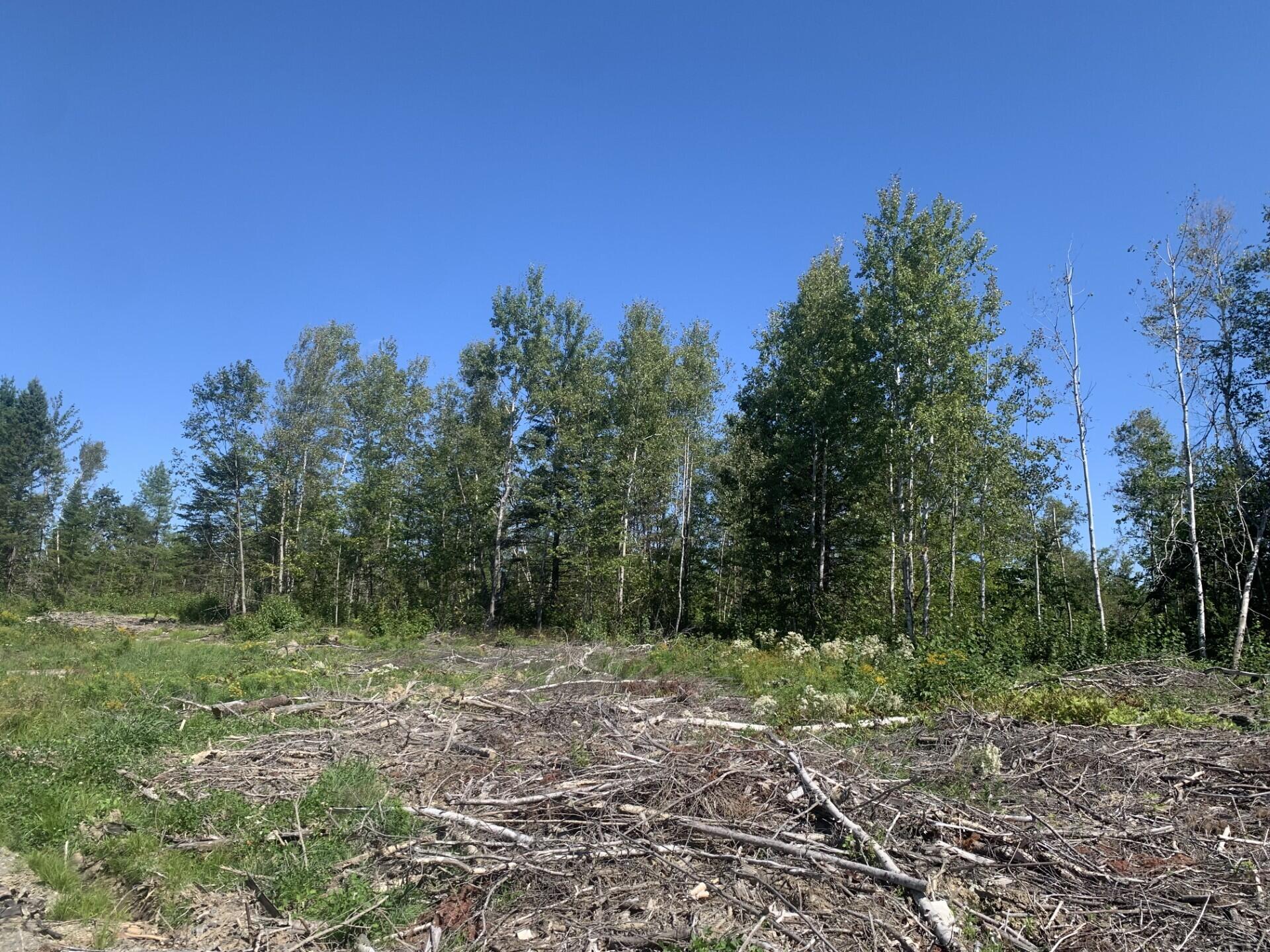 Lot 3 Woodbridge Corner Road Sherman, ME 04776 - Photo 4 of 4 MLS3