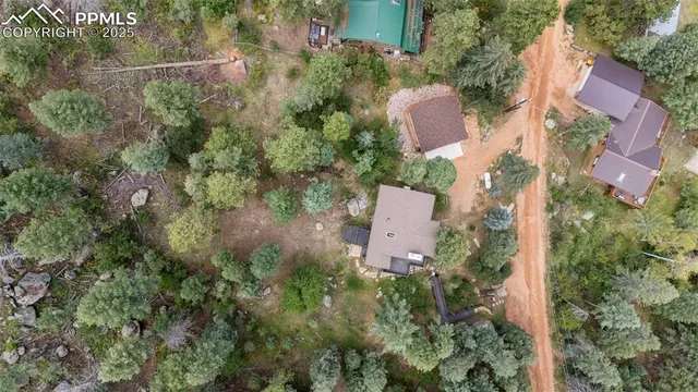 a view of a forest with mountains in the background