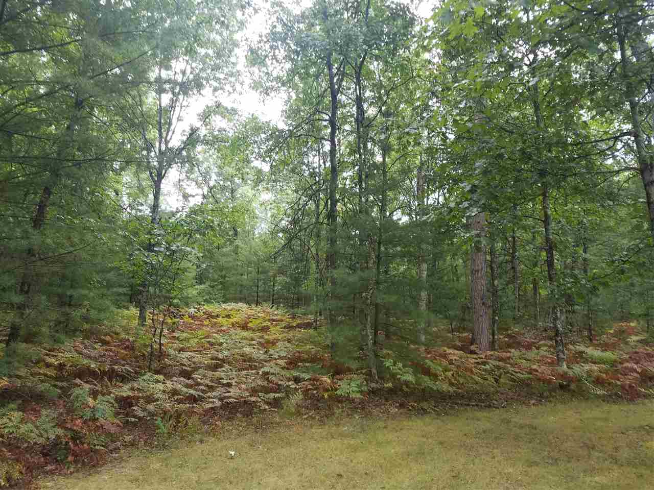 2405 Gunn Road Wellston, MI 49689 - Photo 30 of 33 1822905-29.JPG