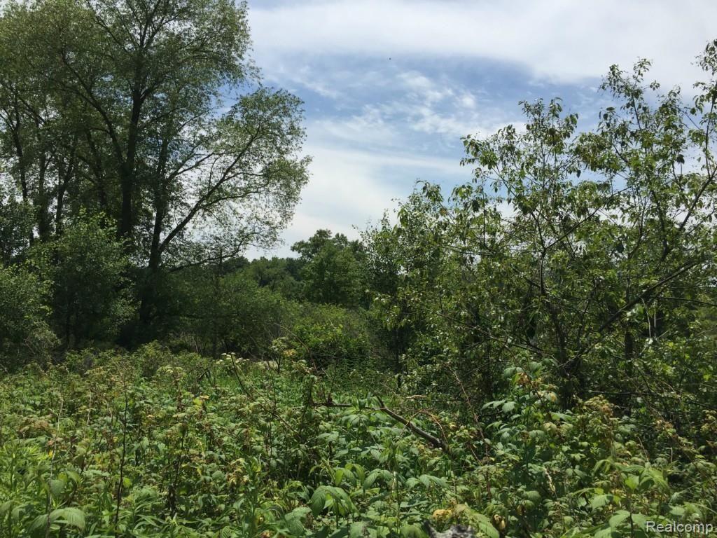 Parcel B Parker Road Holly, MI 48442 - Photo 14 of 18