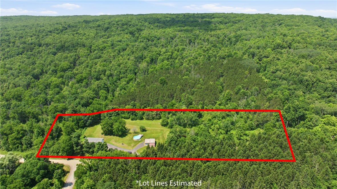 9463 Depew Road Pulteney, NY 14840 - Photo 12 of 50 surrounded by state land