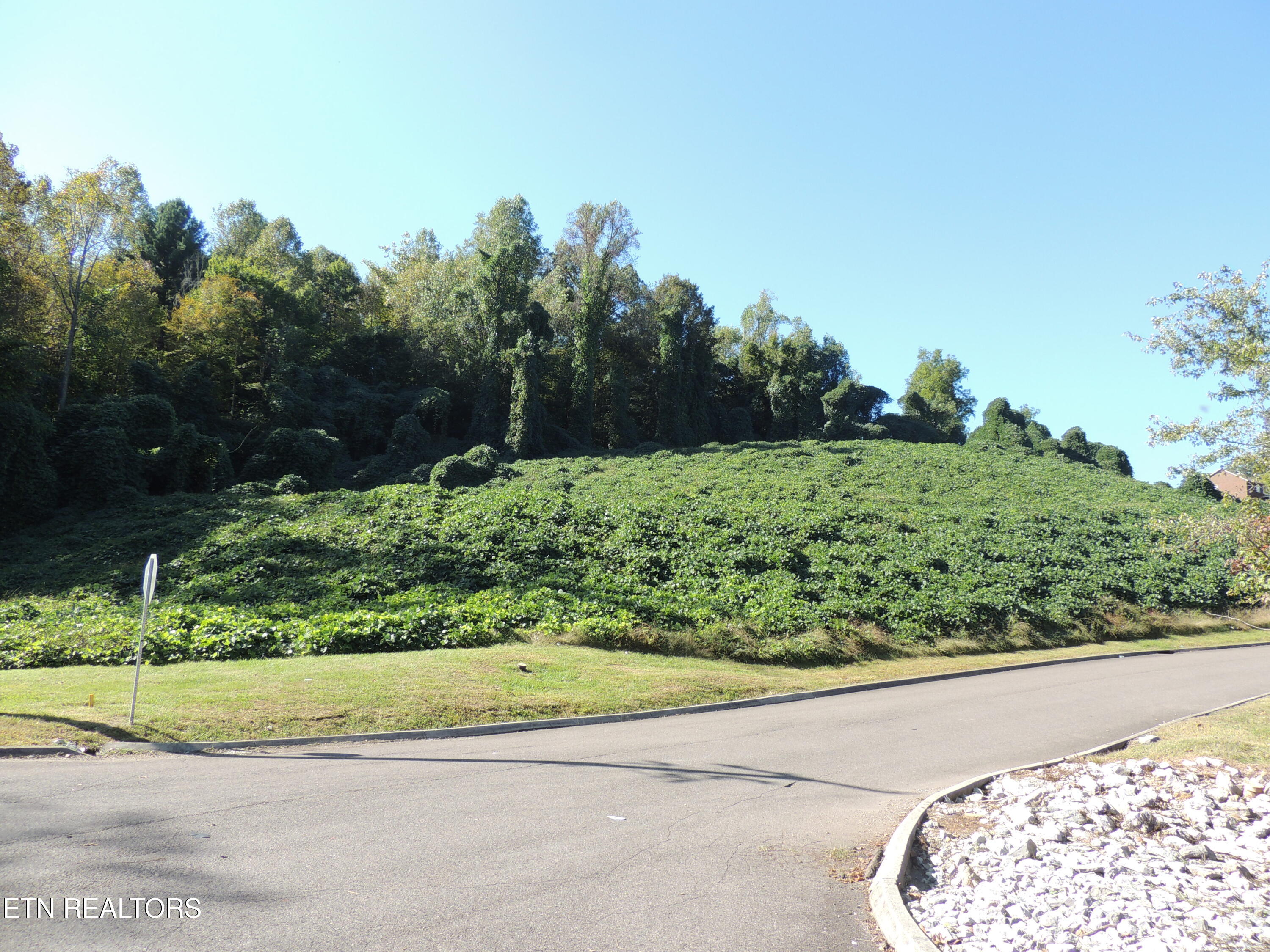 8548 Zinc Road Knoxville, TN 37938 - Photo 10 of 14 8548 Zinc Rd
