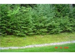 30 Woodland Green, Unit 30 Rochester, NH 03868 - Photo 5 of 5 Gallery Image 5