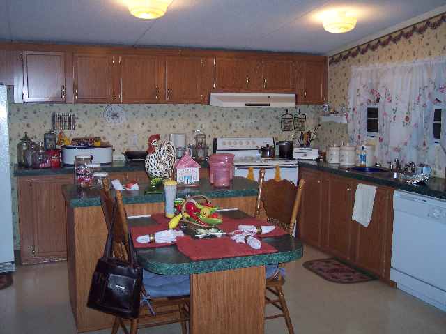 207 Mountain Creek Road Honea Path, SC 29654 - Photo 5 of 9