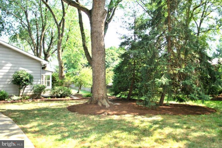 2401 Rocky Branch Road Vienna, VA 22181 - Photo 29 of 29 Exterior (Rear)