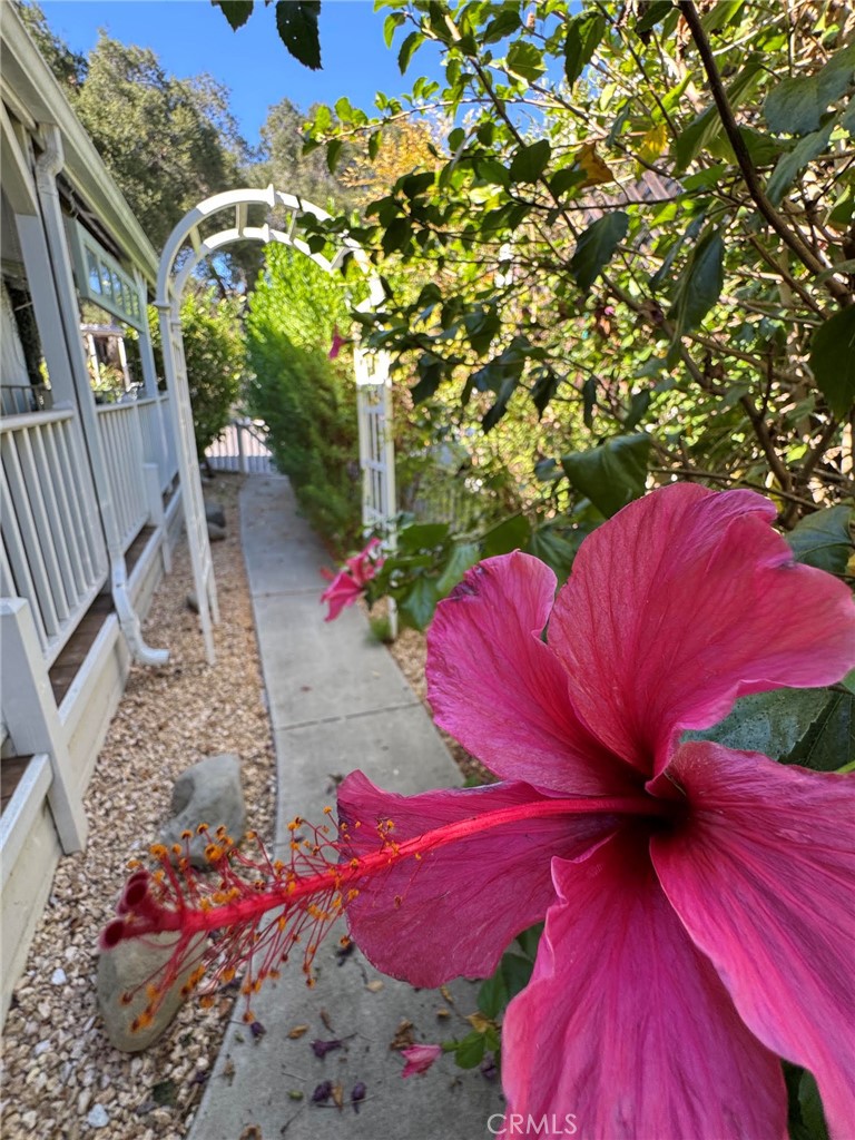 1273 South Rice Road, Unit 11 Ojai, CA 93023 - Photo 50 of 65 Side Yard