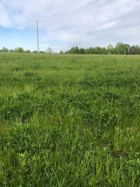 3 Hester Ridge Road Wallingford, KY 41093 - Photo 1 of 6 hr
