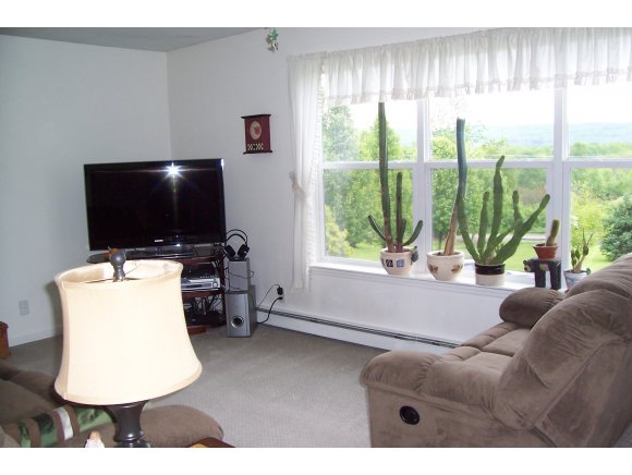 103 Hardie Road Conklin, NY 13748 - Photo 19 of 24 Gallery Image 19