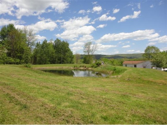 103 Hardie Road Conklin, NY 13748 - Photo 10 of 24 Gallery Image 10