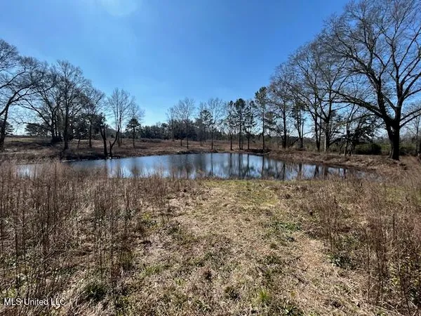 $349,500 | Sawmill Road, Sandy Hook, MS 39478