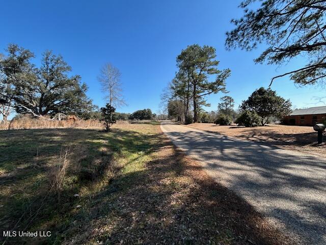 Sawmill Road Sandy Hook, MS 39478 - Photo 11 of 50 IMG_3013