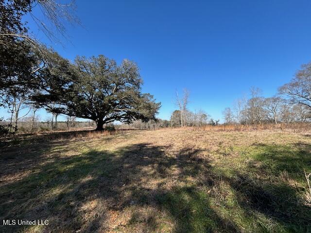 Sawmill Road Sandy Hook, MS 39478 - Photo 12 of 50 IMG_3014