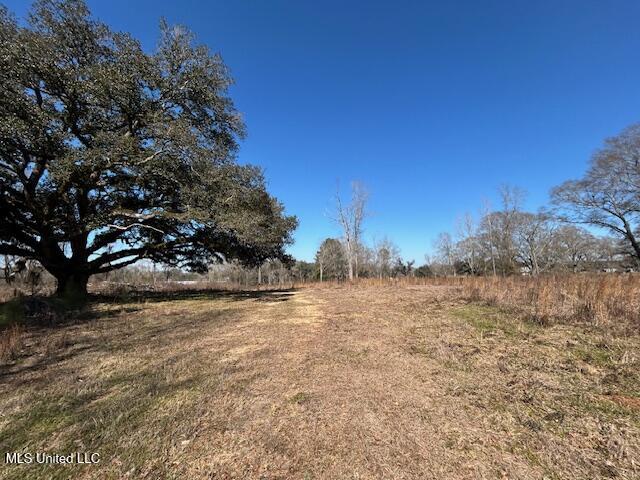 Sawmill Road Sandy Hook, MS 39478 - Photo 13 of 50 IMG_3016