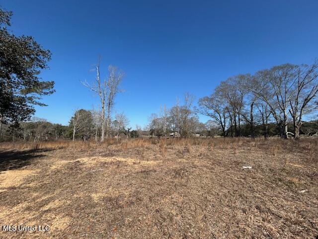 Sawmill Road Sandy Hook, MS 39478 - Photo 14 of 50 IMG_3017 (1)