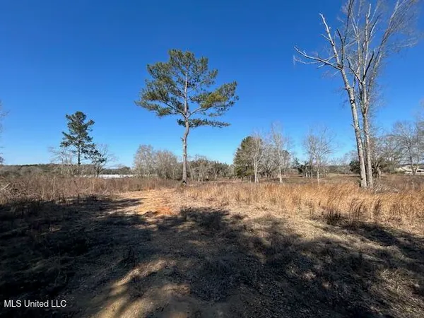 $349,500 | Sawmill Road, Sandy Hook, MS 39478