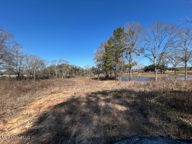 Sawmill Road Sandy Hook, MS 39478 - Photo 16 of 50 IMG_3019