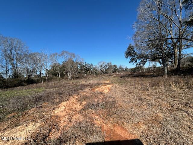 Sawmill Road Sandy Hook, MS 39478 - Photo 18 of 50 IMG_3022