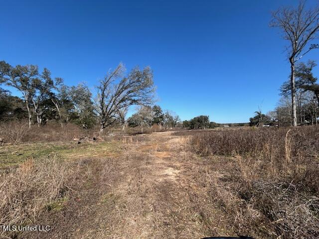 Sawmill Road Sandy Hook, MS 39478 - Photo 19 of 50 IMG_3023