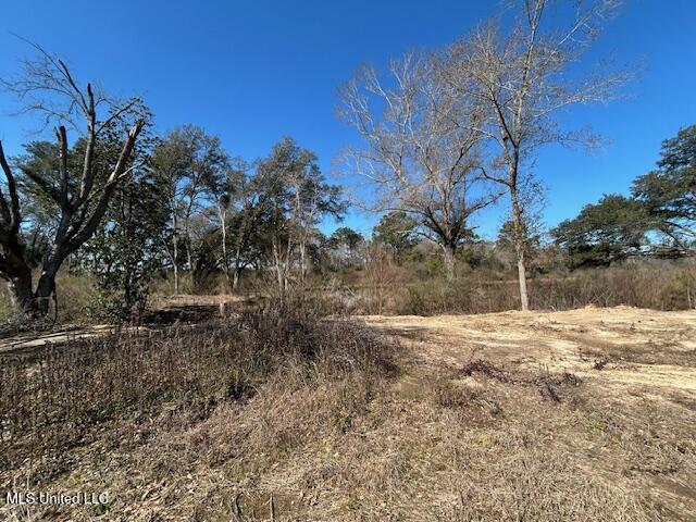 Sawmill Road Sandy Hook, MS 39478 - Photo 21 of 50 IMG_3026