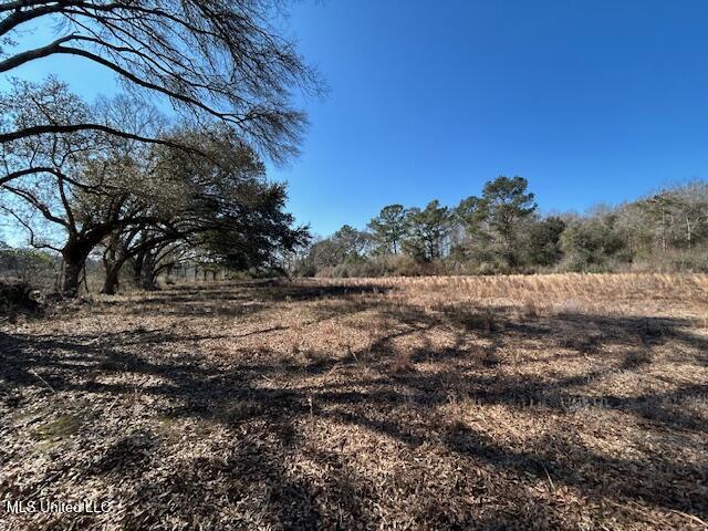 Sawmill Road Sandy Hook, MS 39478 - Photo 23 of 50 IMG_3030