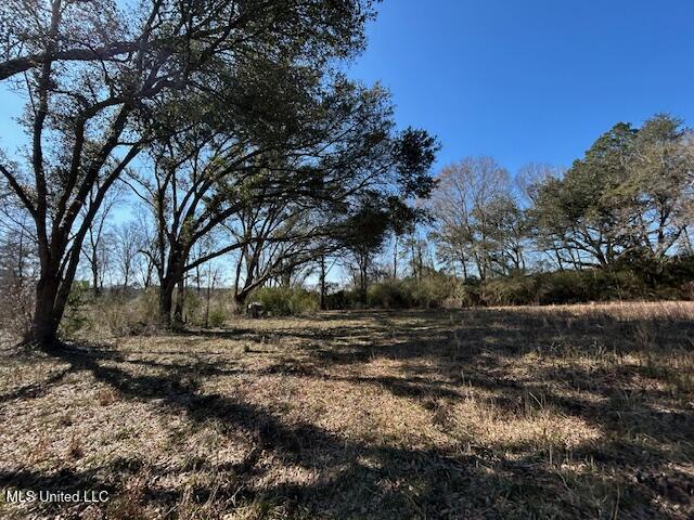 Sawmill Road Sandy Hook, MS 39478 - Photo 25 of 50 IMG_3032
