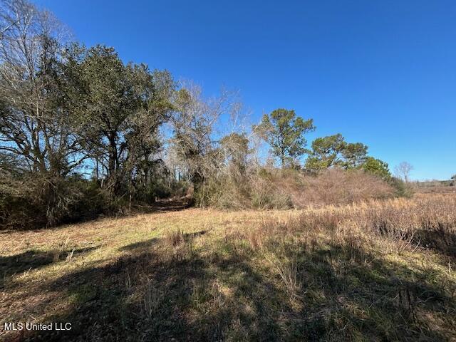 Sawmill Road Sandy Hook, MS 39478 - Photo 26 of 50 IMG_3033