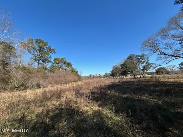 Sawmill Road Sandy Hook, MS 39478 - Photo 27 of 50 IMG_3034 (1)