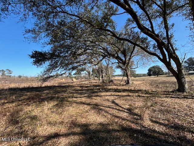 Sawmill Road Sandy Hook, MS 39478 - Photo 28 of 50 IMG_3035 (1)