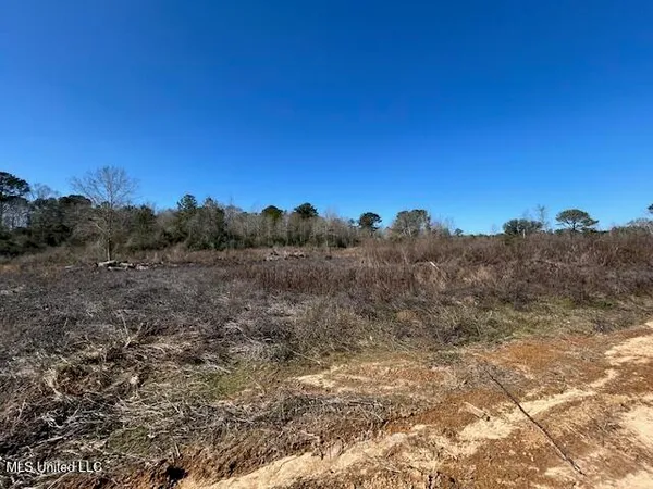 $349,500 | Sawmill Road, Sandy Hook, MS 39478