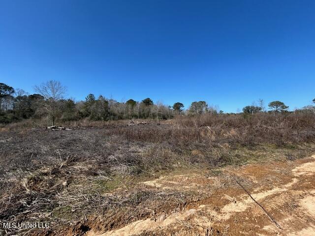 Sawmill Road Sandy Hook, MS 39478 - Photo 30 of 50 IMG_3037