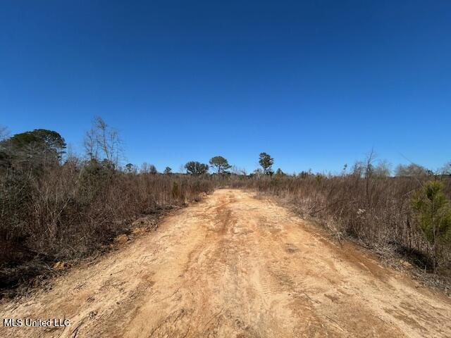 Sawmill Road Sandy Hook, MS 39478 - Photo 31 of 50 IMG_3038