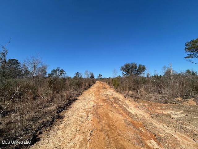 Sawmill Road Sandy Hook, MS 39478 - Photo 33 of 50 IMG_3040 (1)