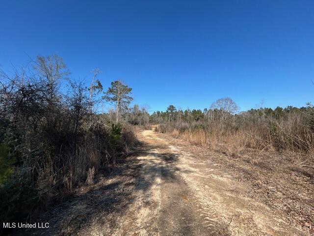 Sawmill Road Sandy Hook, MS 39478 - Photo 34 of 50 IMG_3041 (1)