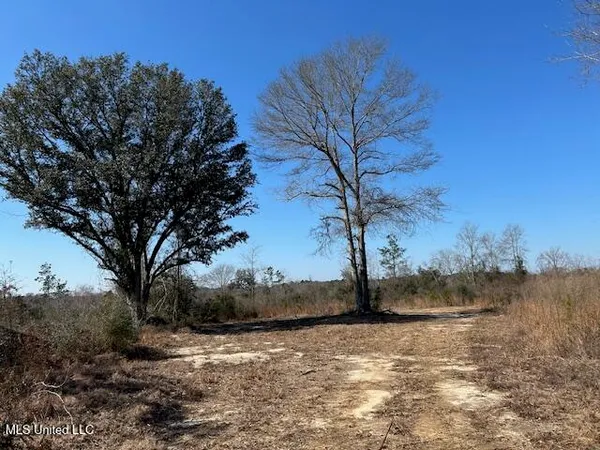 $349,500 | Sawmill Road, Sandy Hook, MS 39478