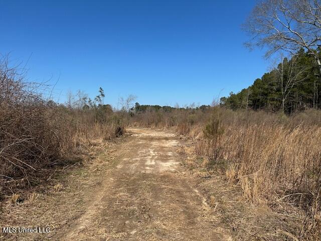 Sawmill Road Sandy Hook, MS 39478 - Photo 36 of 50 IMG_3044