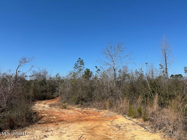 Sawmill Road Sandy Hook, MS 39478 - Photo 37 of 50 IMG_3045