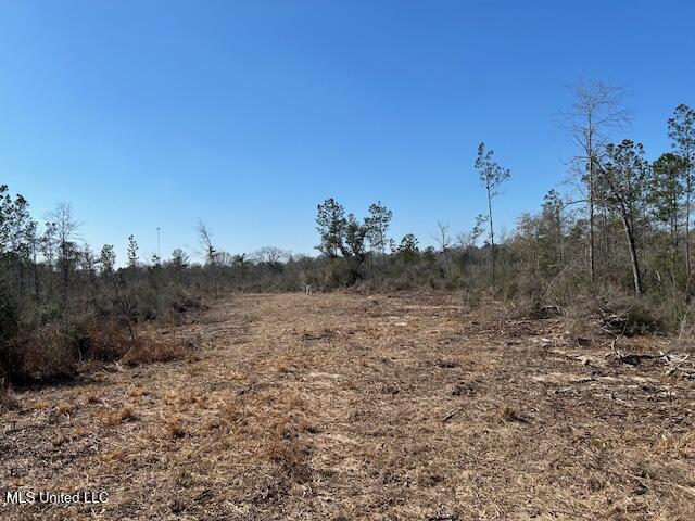 Sawmill Road Sandy Hook, MS 39478 - Photo 38 of 50 IMG_3048