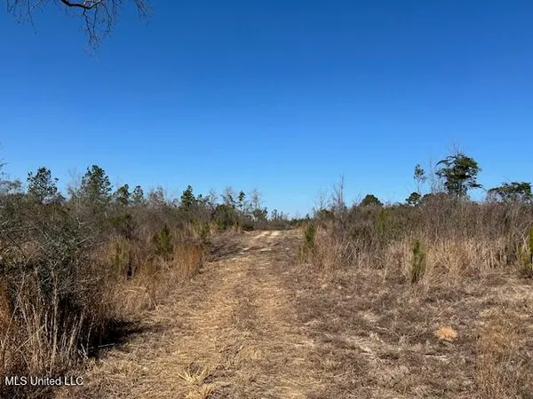 $349,500 | Sawmill Road, Sandy Hook, MS 39478