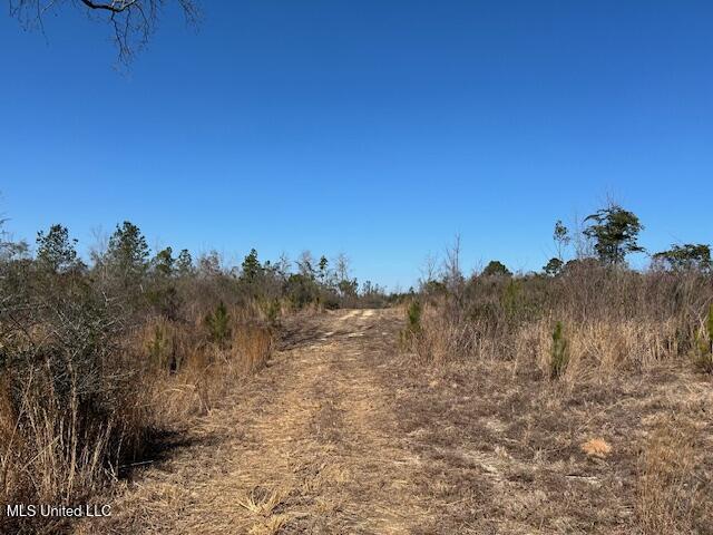 Sawmill Road Sandy Hook, MS 39478 - Photo 39 of 50 IMG_3049