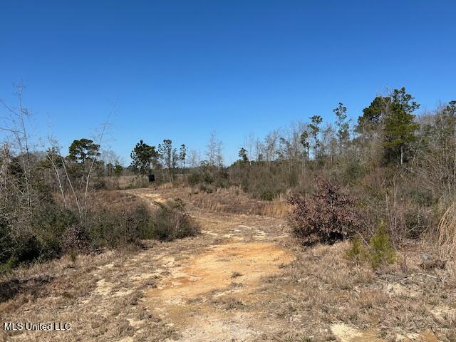 Sawmill Road Sandy Hook, MS 39478 - Photo 40 of 50 IMG_3050