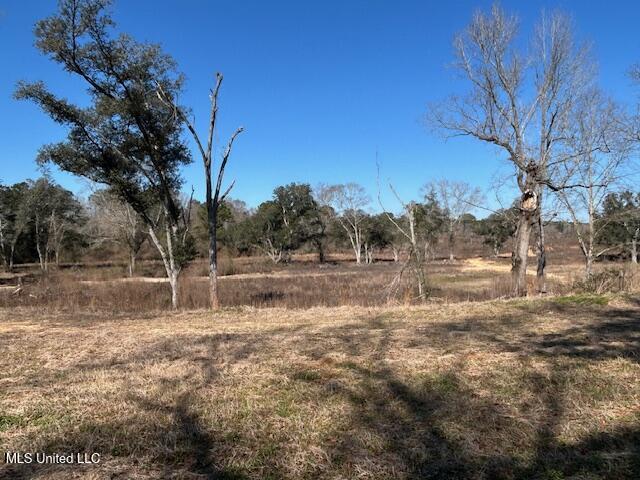 Sawmill Road Sandy Hook, MS 39478 - Photo 4 of 50 IMG_3001