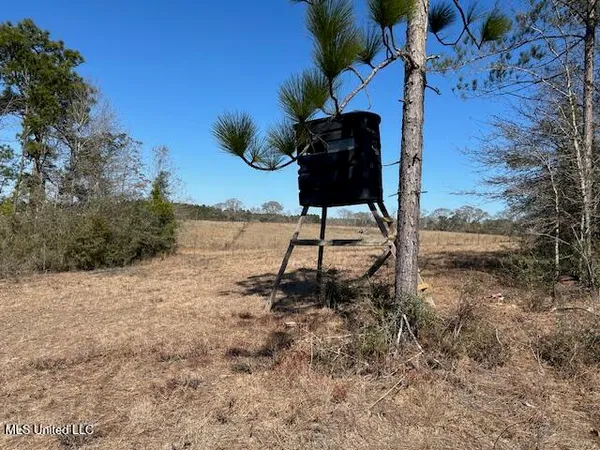 $349,500 | Sawmill Road, Sandy Hook, MS 39478